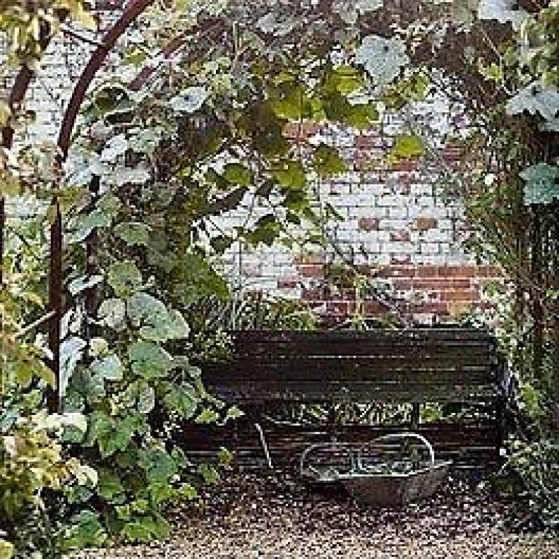 SMALL ONE BED GARDEN PROPERTY BASEMENT VICTORIAN SWAP..HASTINGS AND OTHER SEA SIDE AREAS