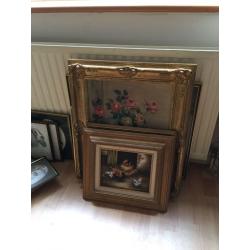 Selection of pictures