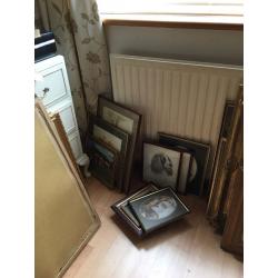 Selection of pictures