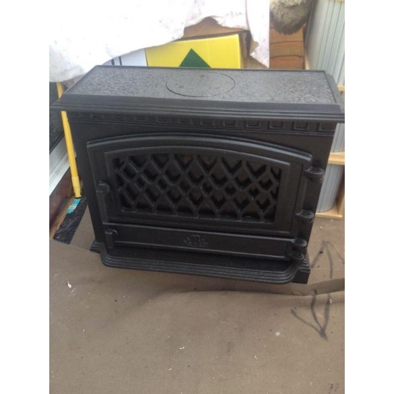 Electric fire
