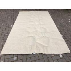 Carpet / Remnant