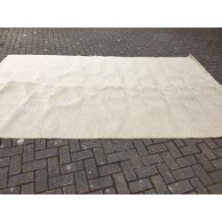 Carpet / Remnant