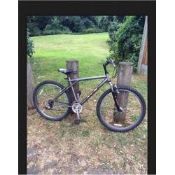 Mountain Bike GT