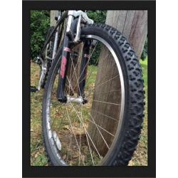 Mountain Bike GT