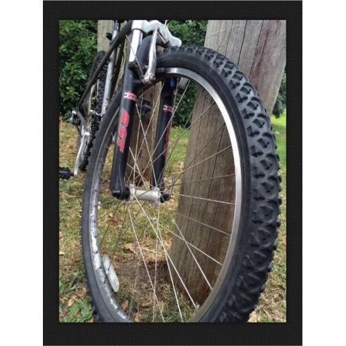 Mountain Bike GT