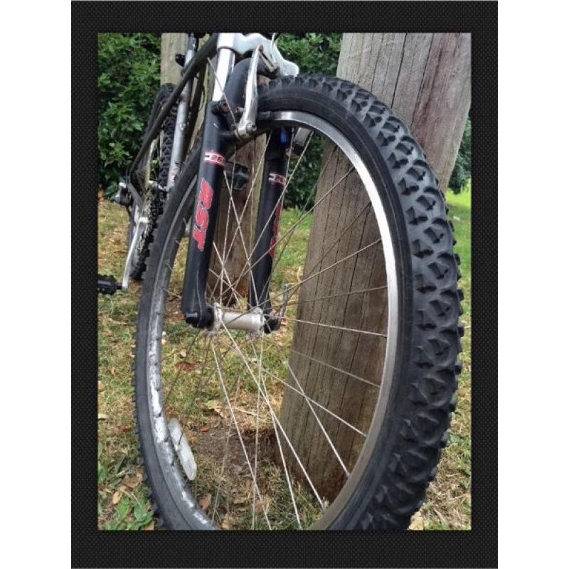 Mountain Bike GT