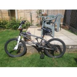 BMX Hustle with stunt pegs