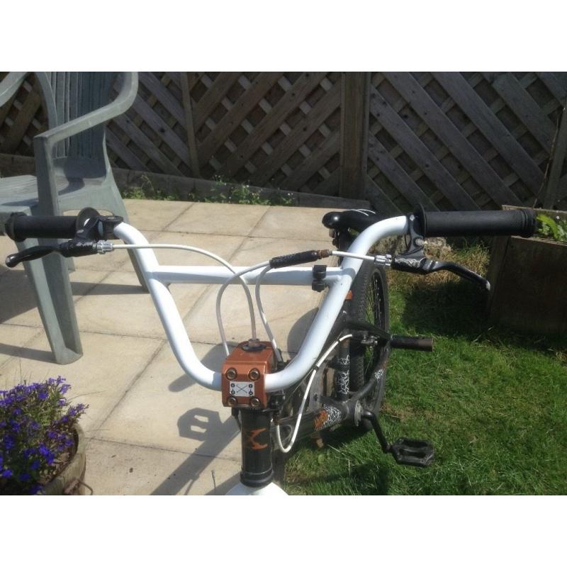 BMX Hustle with stunt pegs