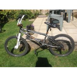 BMX Hustle with stunt pegs