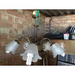 hanging lights hand crafted ceiling lights ( one off )