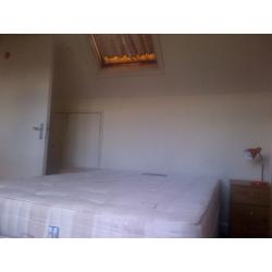 Double Room for 1 Person in Shepherd's Bush Avail Now