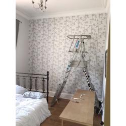 Ladder - Work Platform -Zarges