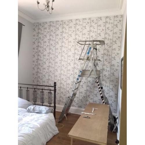 Ladder - Work Platform -Zarges