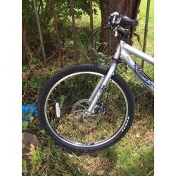Raleigh Pioneer Tandem Bike