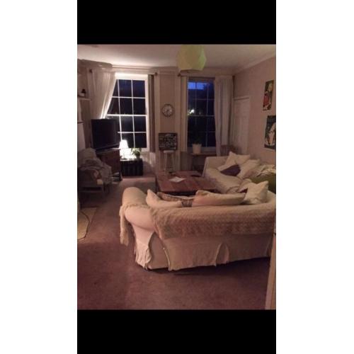 Room available in Clifton Village Flat