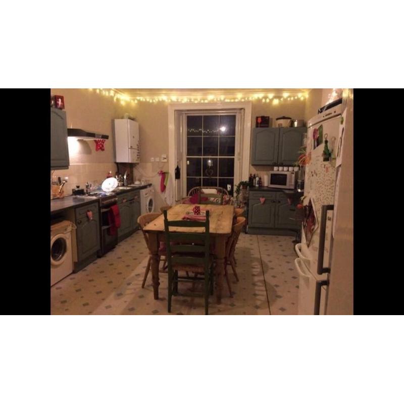 Room available in Clifton Village Flat