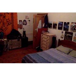 Festival Let - Large double bedroom - Tollcross - 5 mins from City centre