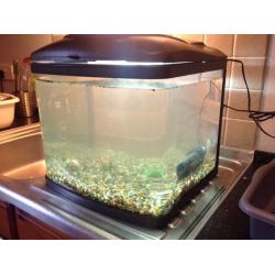 Fish tank aquarium with pump