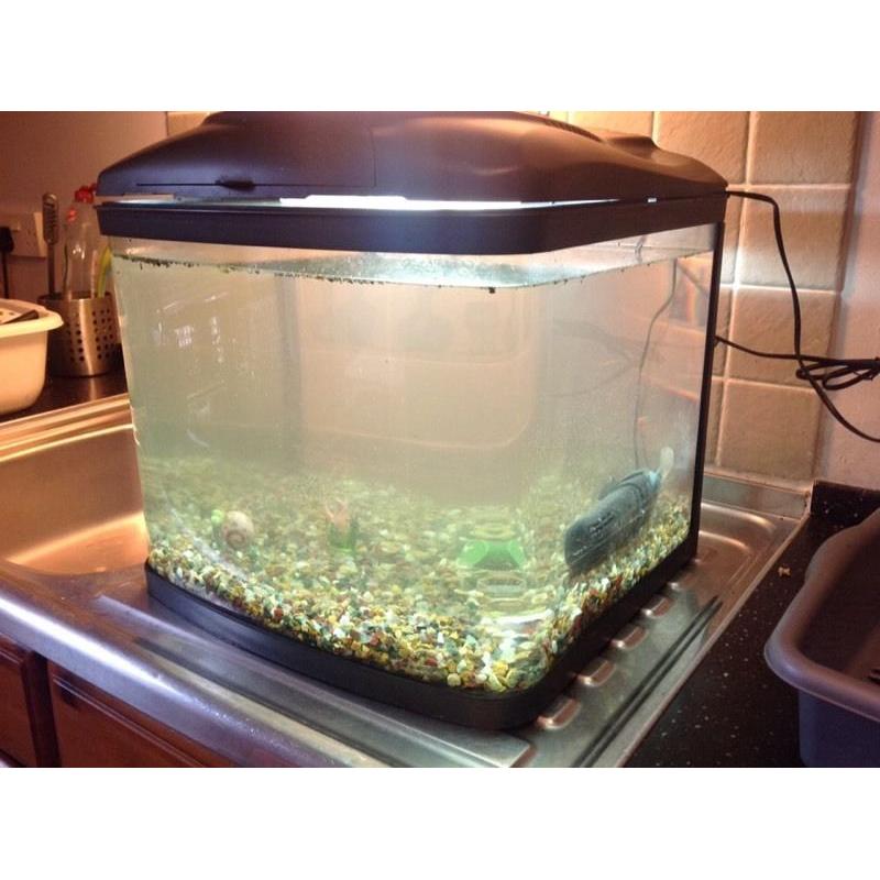 Fish tank aquarium with pump