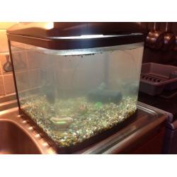 Fish tank aquarium with pump