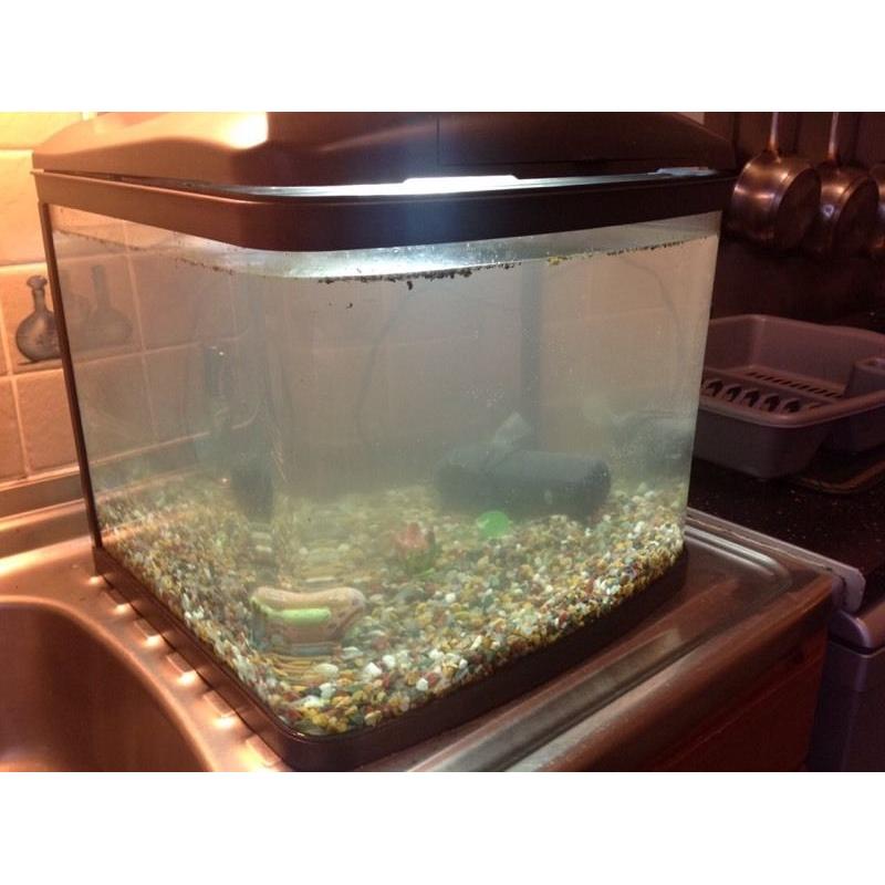 Fish tank aquarium with pump