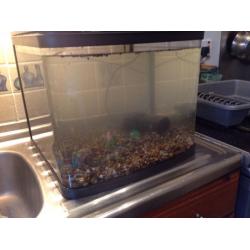 Fish tank aquarium with pump