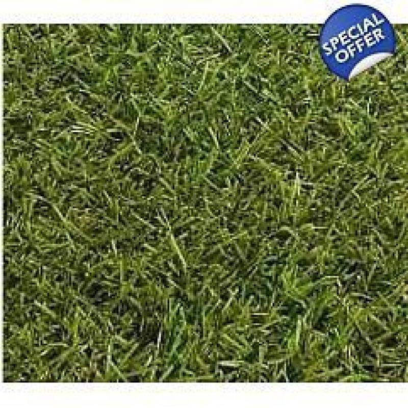 Top Quality Astro Turf Off-Cut