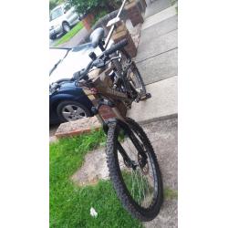 saracen raw 2 down hill/ mountain bike