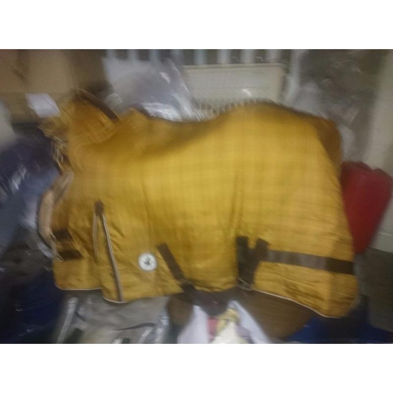5ft derby house combo medium weight