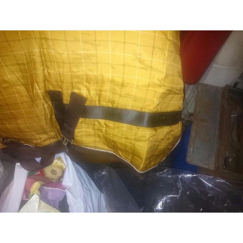 5ft derby house combo medium weight