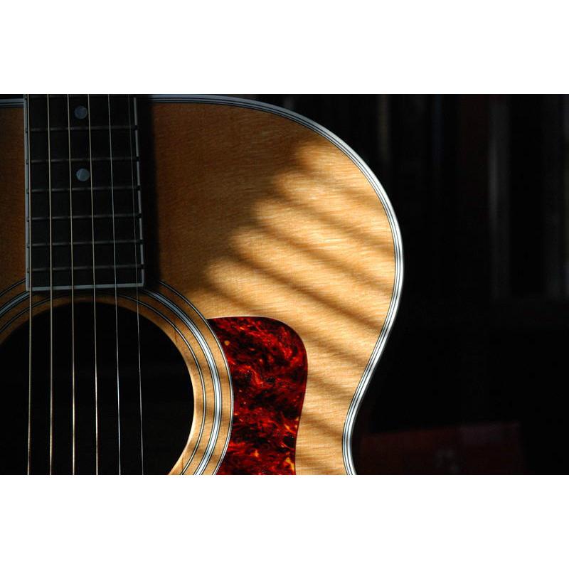 Acoustic Guitarist Needed for singer/songwriter with publishing deal and artist management