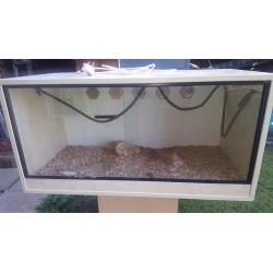 Beech vivariums