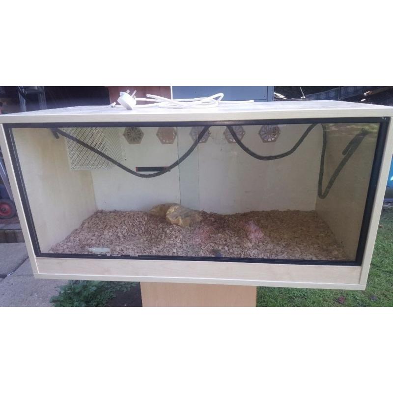 Beech vivariums
