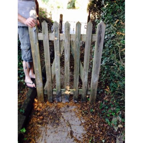Single wooden gate. No gateposts.