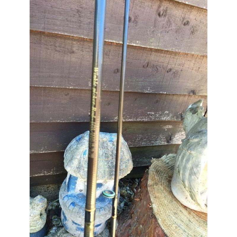 Silstar winkle picker 9ft rod