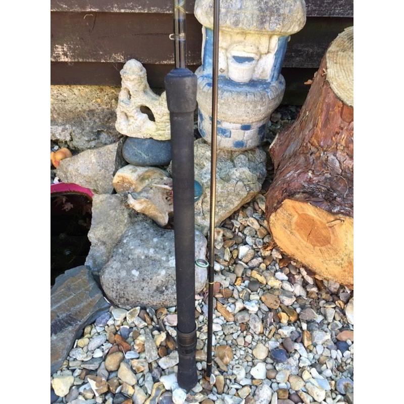 Silstar winkle picker 9ft rod