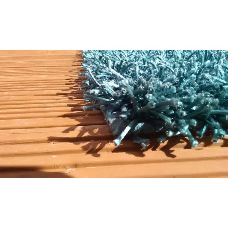 Teal shaggy rug