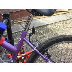 Girl's Mountain Bike: Very much underused but kept safe and well cared for. Recently serviced.
