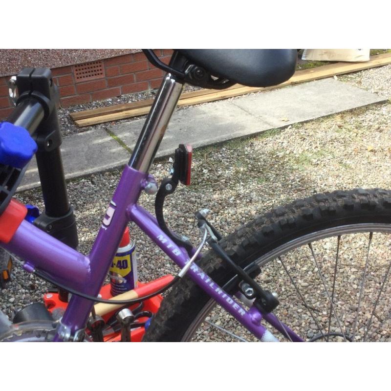 Girl's Mountain Bike: Very much underused but kept safe and well cared for. Recently serviced.