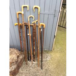 Walking sticks