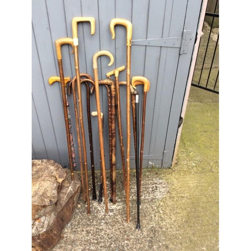 Walking sticks