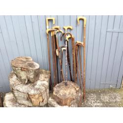Walking sticks
