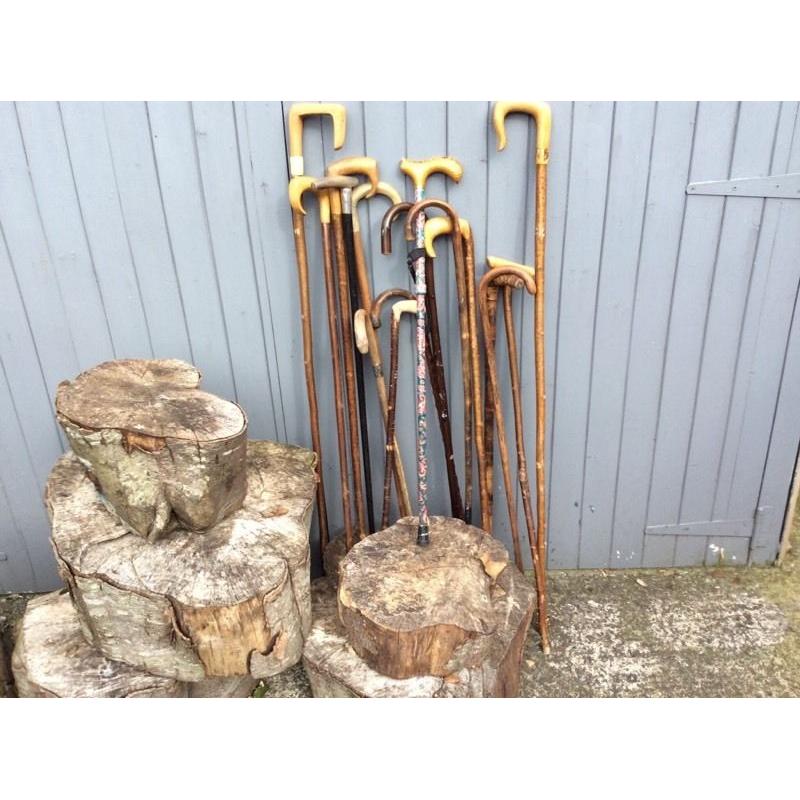 Walking sticks