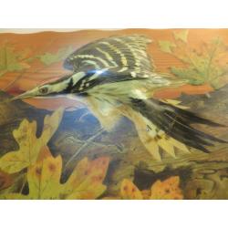 Vintage Handmade Wooden Bird Picture Decoupage Made by Artist Deirdre Drake