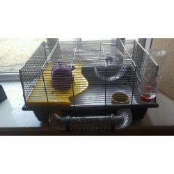 Hamster gerbil cage