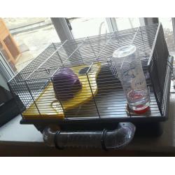 Hamster gerbil cage