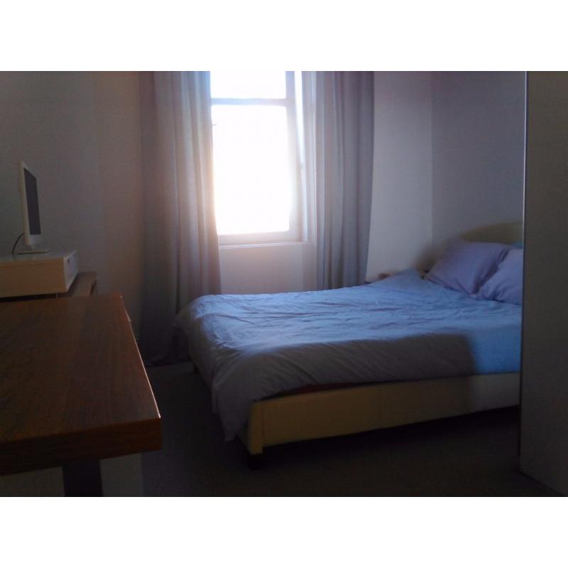 Festival let. Spacious double bedroom in quiet flat close to city centre.