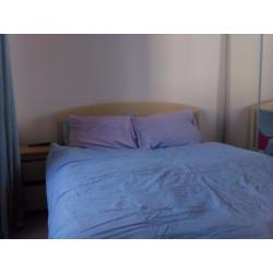 Festival let. Spacious double bedroom in quiet flat close to city centre.