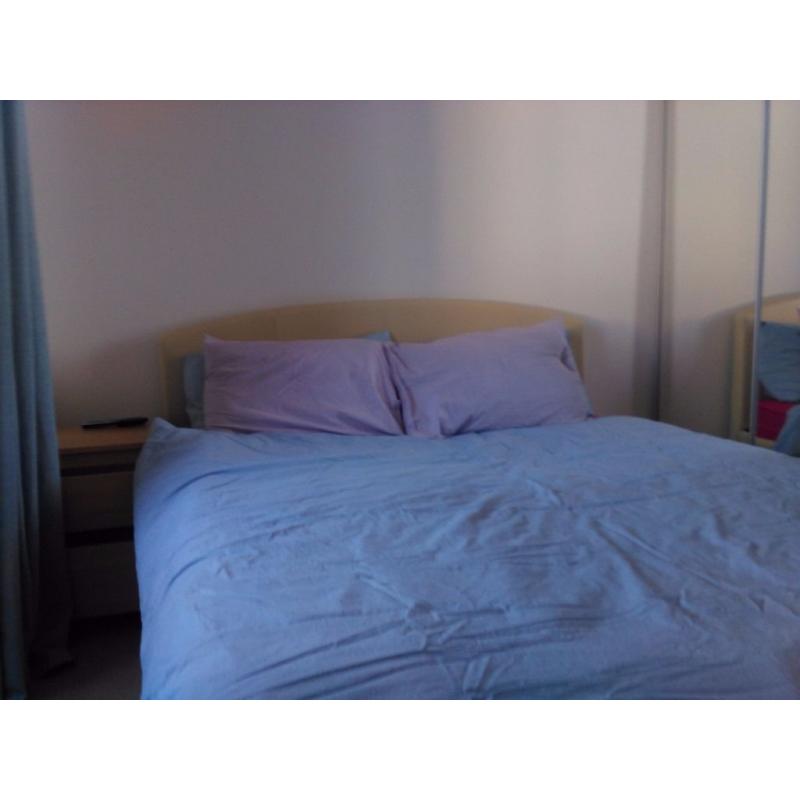 Festival let. Spacious double bedroom in quiet flat close to city centre.