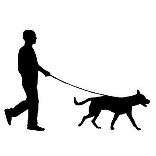 Dog Walking Service (Glasgow Green / Gorbals / Bridgeton area)
